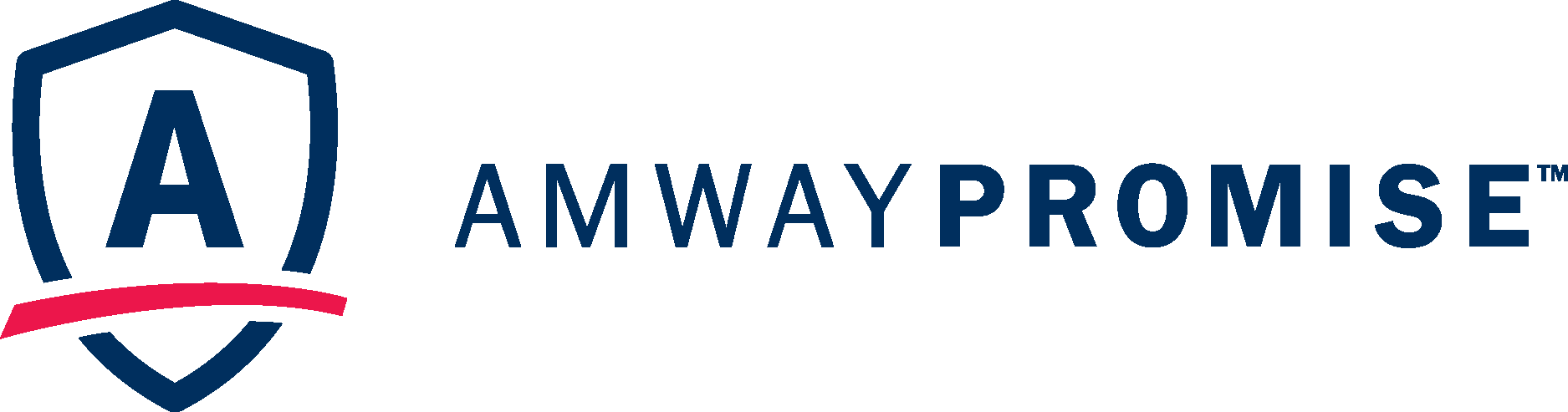 Anway Promise Old Logo Vector Logo
